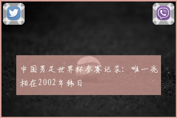 中国男足世界杯参赛记录:唯一亮相在2002年韩日