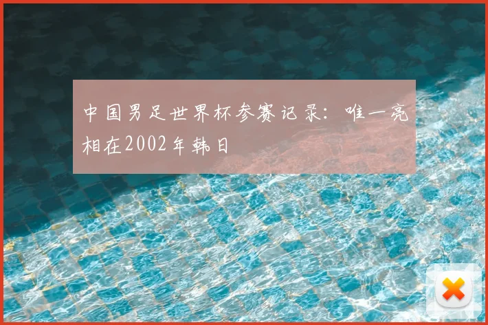 中国男足世界杯参赛记录:唯一亮相在2002年韩日