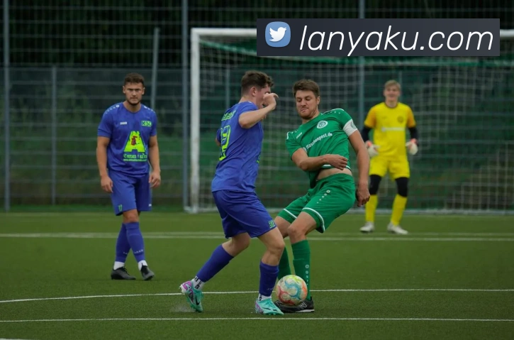 纽约尼克斯为引进次轮秀布伦森究竟付出了多大的代价?_续约_独行侠_的合同